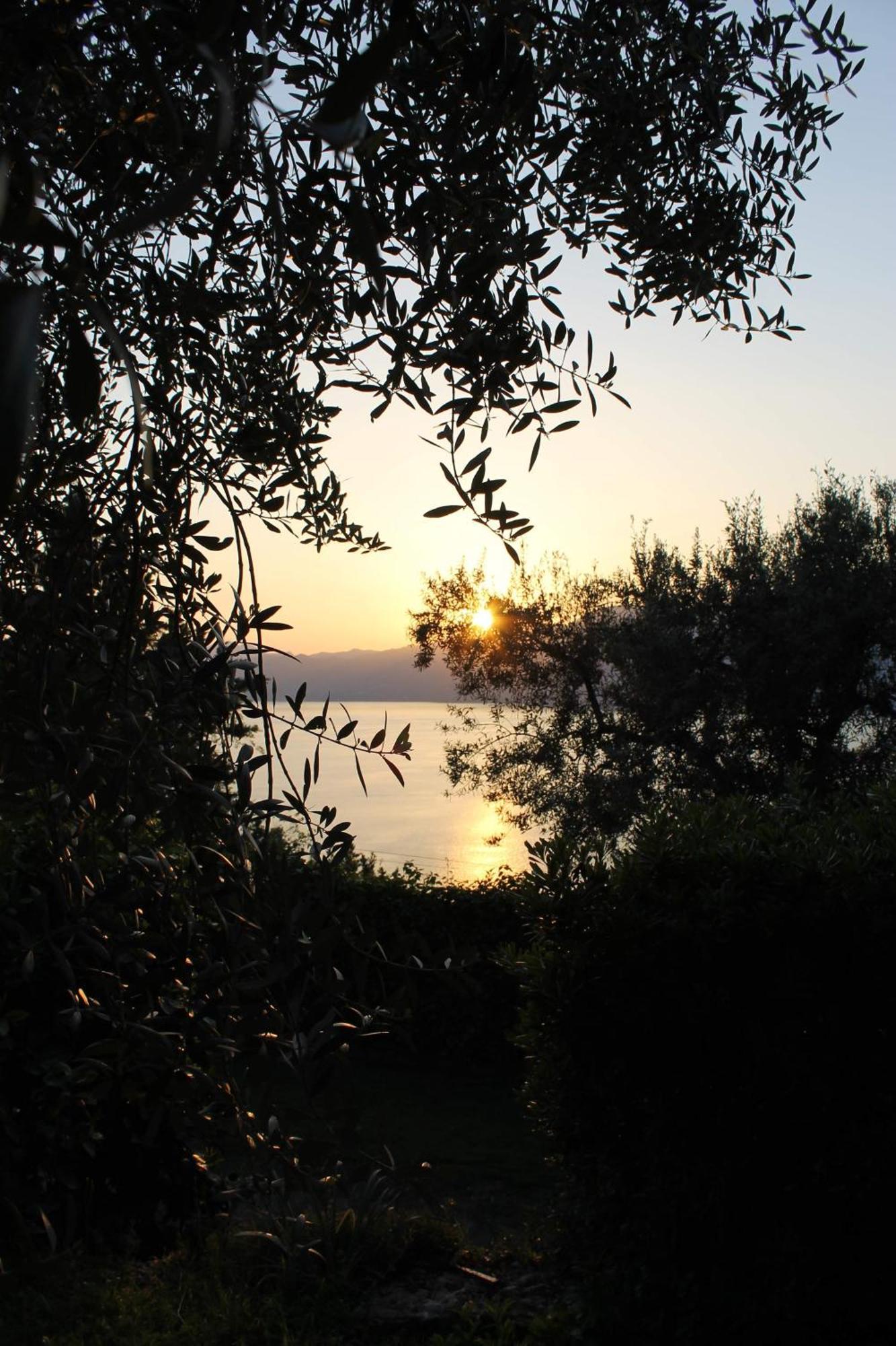 The View Daire Torri Del Benaco Dış mekan fotoğraf